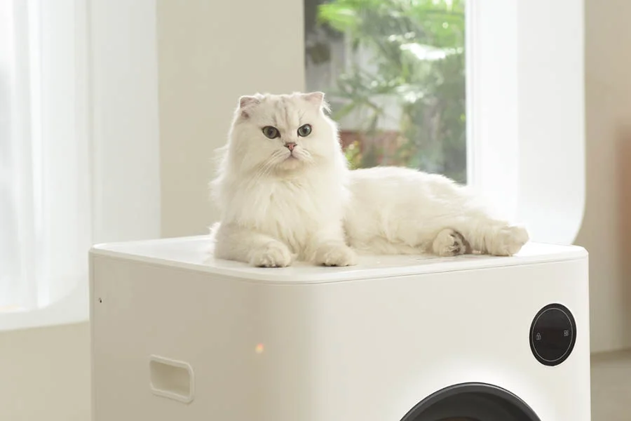 self cleaning cat litter box reviews