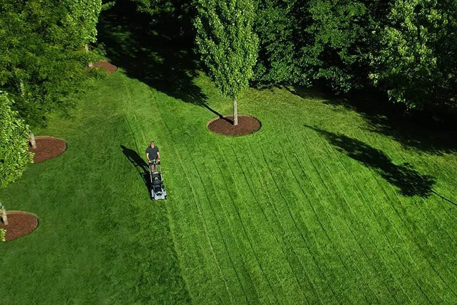 top rated lawn mowers