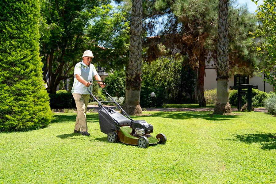 top rated lawn mowers