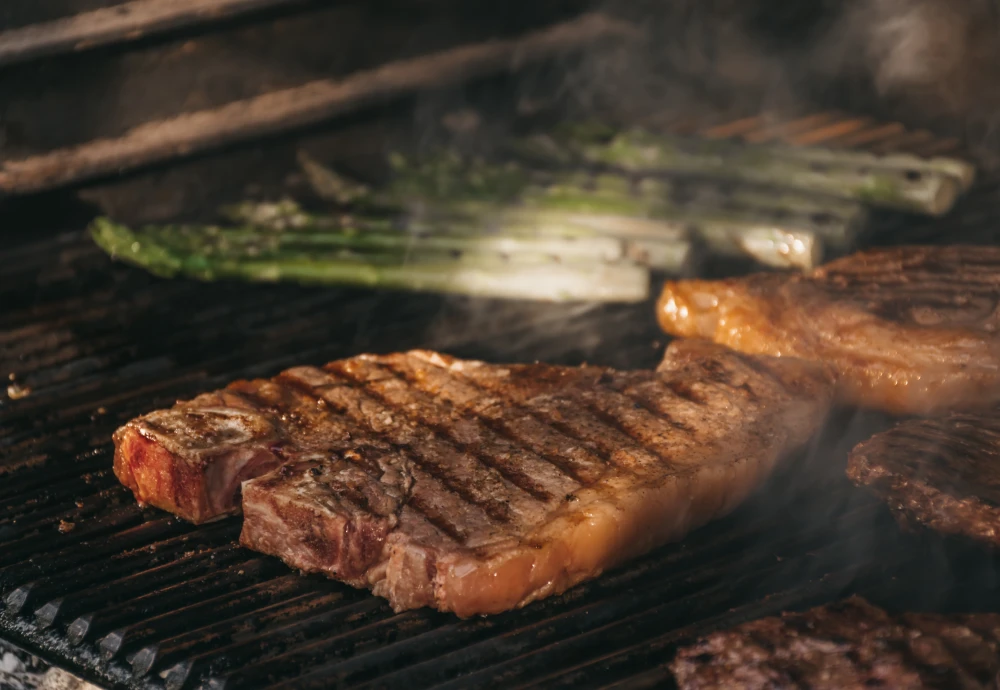 portable barbecue gas grill