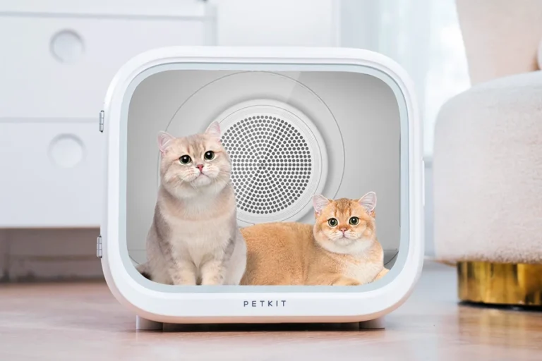 automatic pet drying box