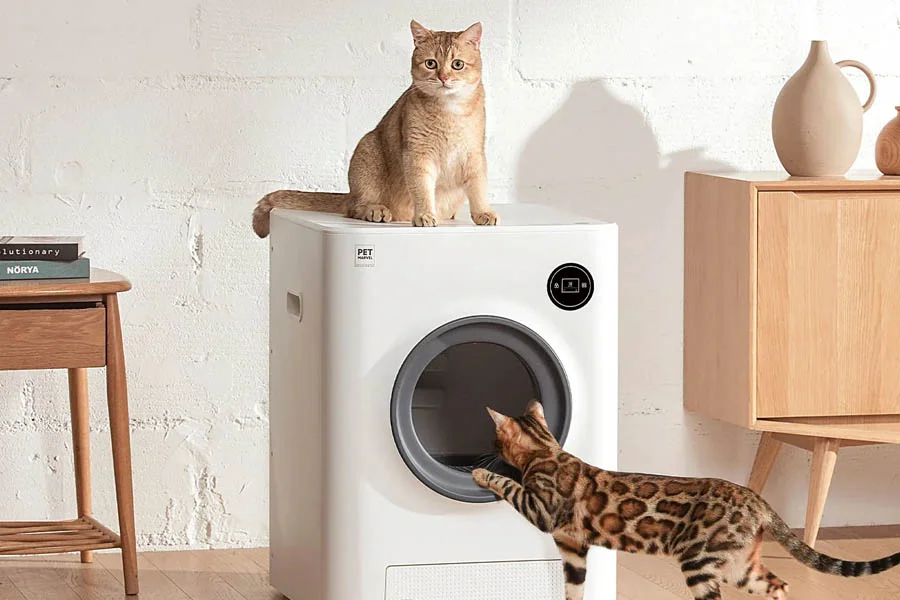 auto litter boxes for cats