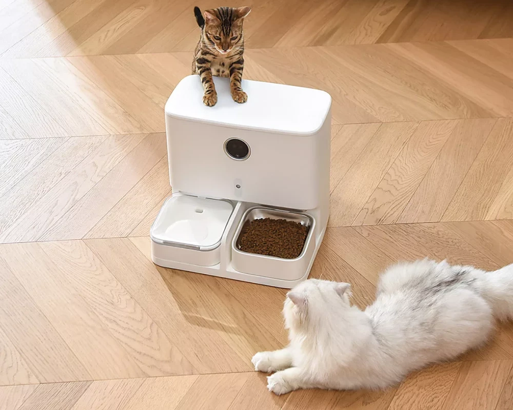 top pets automatic pet feeder